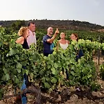Mastinell Cava&boutique By Olivia Collection Hotel