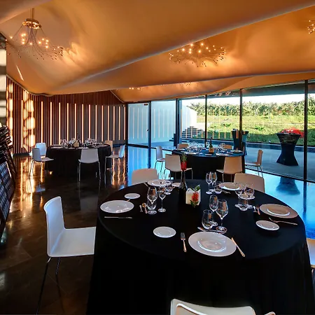 Mastinell Cava&boutique By Olivia Collection
