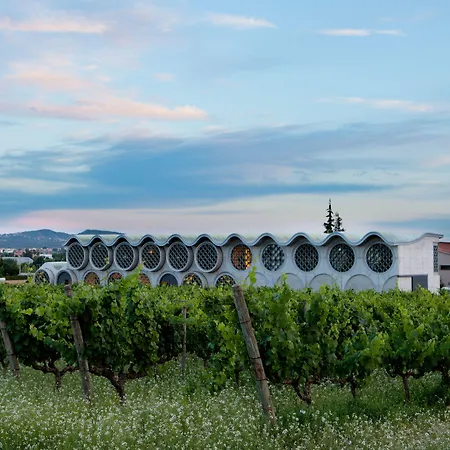 Mastinell Cava & Boutique By Olivia Collection Szálloda Vilafranca del Penedès