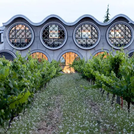 Mastinell Cava & Boutique By Olivia Collection Szálloda Vilafranca del Penedès