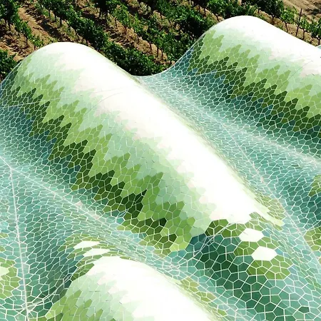 Mastinell Cava & Boutique By Olivia Collection Vilafranca del Penedès