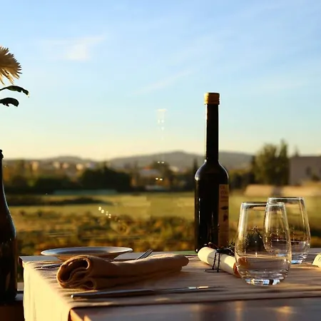 Mastinell Cava & Boutique By Olivia Collection Hotel Vilafranca del Penedès