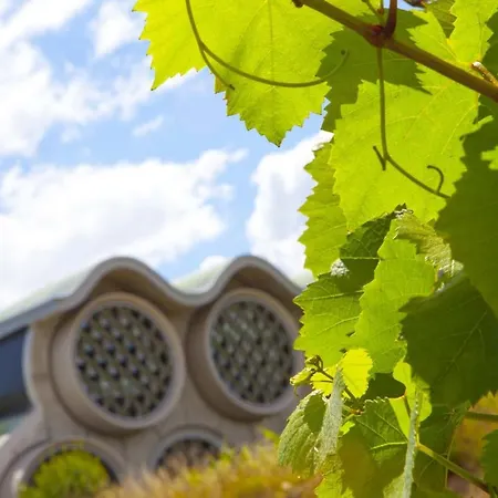 Mastinell Cava & Boutique By Olivia Collection Vilafranca del Penedès
