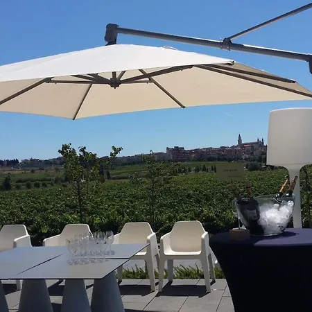 Mastinell Cava & Boutique By Olivia Collection Szálloda Vilafranca del Penedès