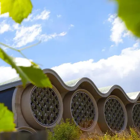 Mastinell Cava & Boutique By Olivia Collection Vilafranca del Penedès